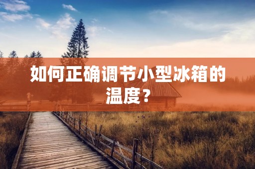 如何正确调节小型冰箱的温度？
