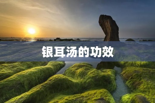 银耳汤的功效:润肺止咳、养生护肤 银耳汤的功效:润肺止咳、养生护肤