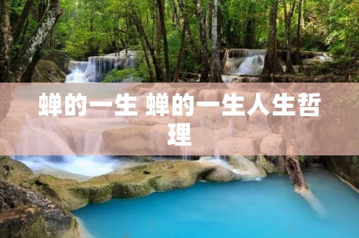 蝉的一生 蝉的一生人生哲理