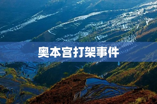奥本宫打架事件：如何化解文化冲突？