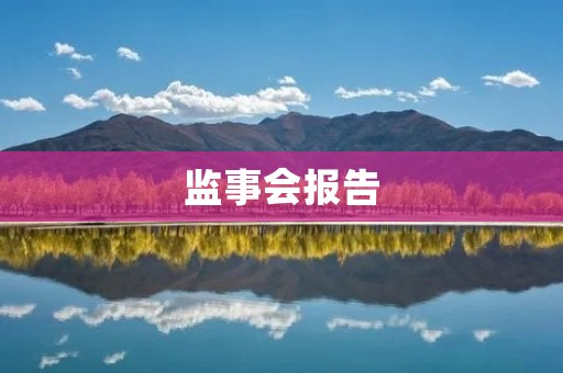 监事会报告:公司运营情况透明度与风险控制
