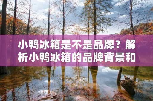 小鸭冰箱是不是品牌？解析小鸭冰箱的品牌背景和质量保障