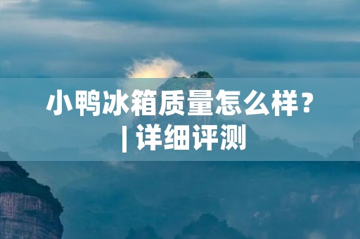 小鸭冰箱质量怎么样? | 详细评测 小鸭冰箱质量怎么样? | 详细评测