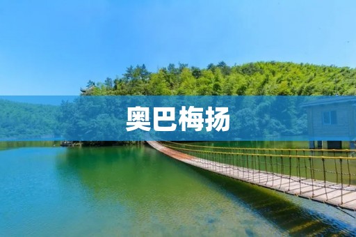 奥巴梅扬:阿森纳的得分利器 奥巴梅扬:阿森纳的得分利器