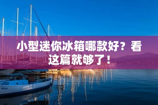 小型迷你冰箱哪款好？看这篇就够了！