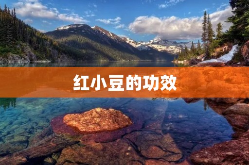 红小豆的功效:助力排毒养颜,缓解疲劳 红小豆的功效:助力排毒养颜,缓解疲劳