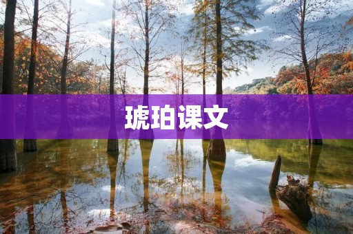琥珀课文：探索古老的自然宝藏