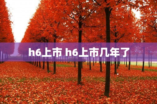 h6上市 h6上市几年了 h6上市 h6上市几年了