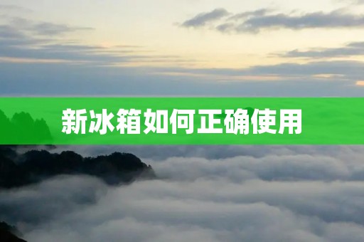 新冰箱如何正确使用