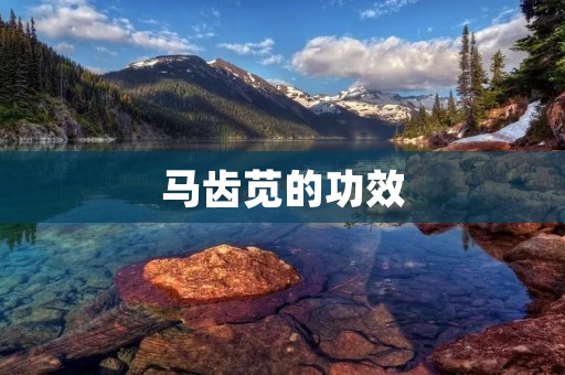 马齿苋的功效:保健和治疗 马齿苋的功效:保健和治疗