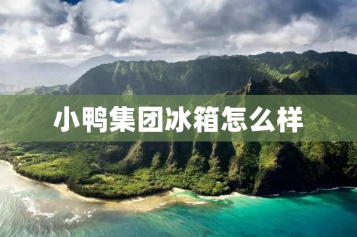 小鸭集团冰箱怎么样:品质与性价比的完美结合 小鸭集团冰箱怎么样:品质与性价比的完美结合