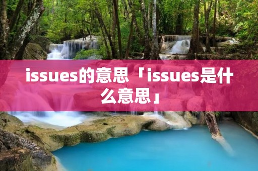 issues的意思「issues是什么意思」