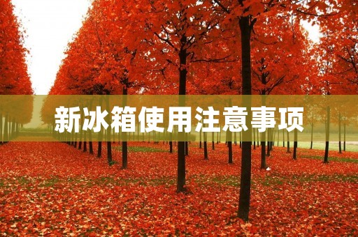 新冰箱使用注意事项