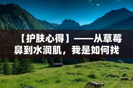 【护肤心得】——从草莓鼻到水润肌，我是如何找到适合自己的护肤方式的