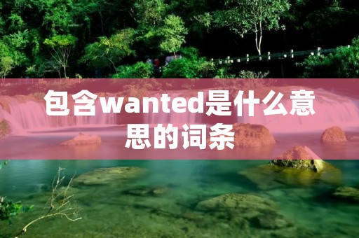 包含wanted是什么意思的词条