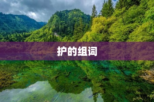  护的组词：探索护理行业中的关键词