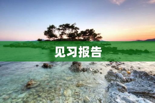 见习报告:我的实习经历