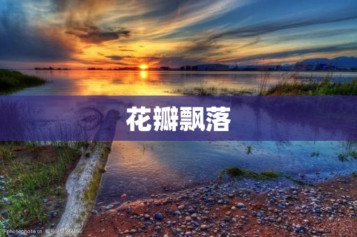 花瓣飘落:美丽与离别的象征 花瓣飘落:美丽与离别的象征