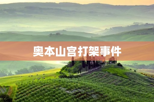 奥本山宫打架事件：暴力行为严重影响游客体验