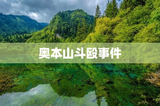 奥本山斗殴事件：暴力行为的危害与警示