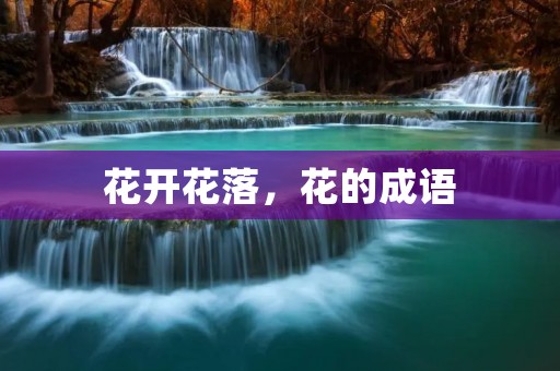 花开花落，花的成语