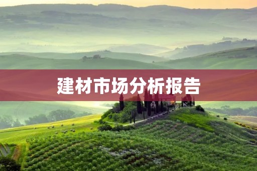 建材市场分析报告:行业现状及未来趋势