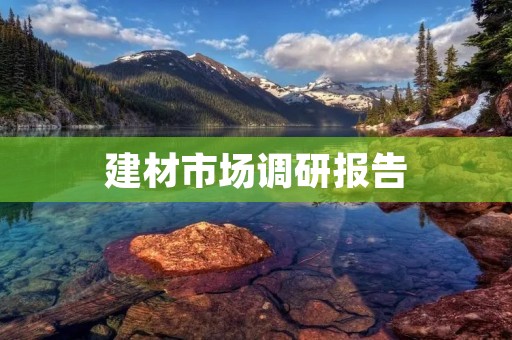 建材市场调研报告:洞察市场趋势,掌握未来机遇