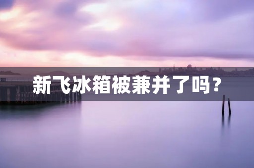 新飞冰箱被兼并了吗? 新飞冰箱被兼并了吗?