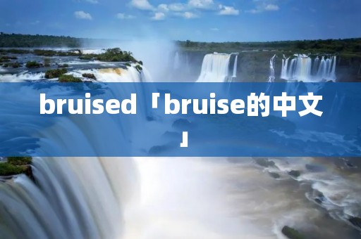 bruised「bruise的中文」 bruised「bruise的中文」