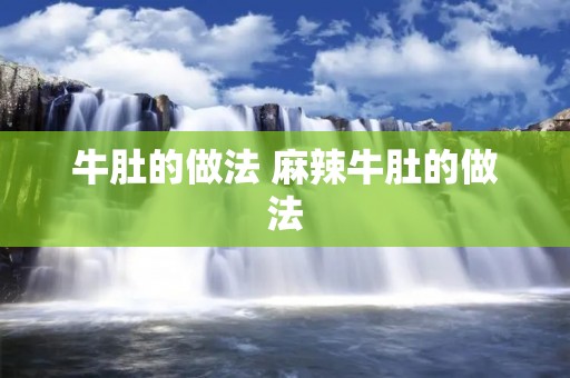 牛肚的做法 麻辣牛肚的做法