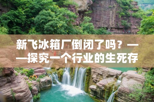新飞冰箱厂倒闭了吗?——探究一个行业的生死存亡 新飞冰箱厂倒闭了吗?——探究一个行业的生死存亡