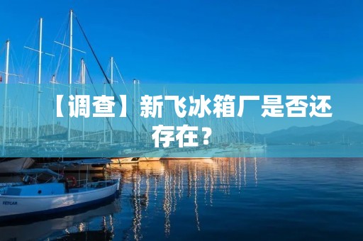 【调查】新飞冰箱厂是否还存在? 【调查】新飞冰箱厂是否还存在?