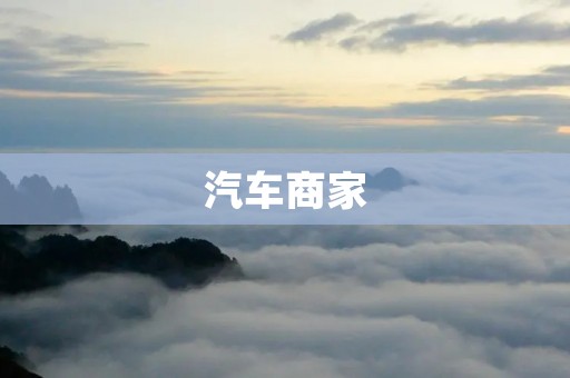 汽车商家:如何赢得消费者的信任 汽车商家:如何赢得消费者的信任