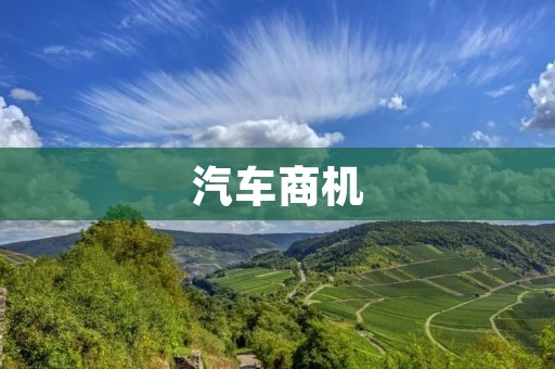 汽车商机：如何在竞争激烈的市场中脱颖而出？