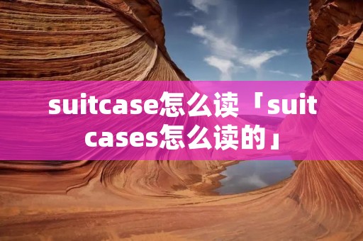 suitcase怎么读「suitcases怎么读的」