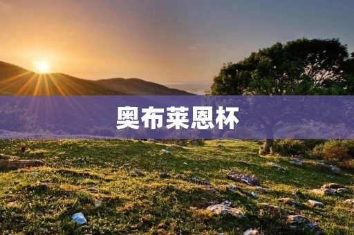 奥布莱恩杯：一个传承激励的足球赛事