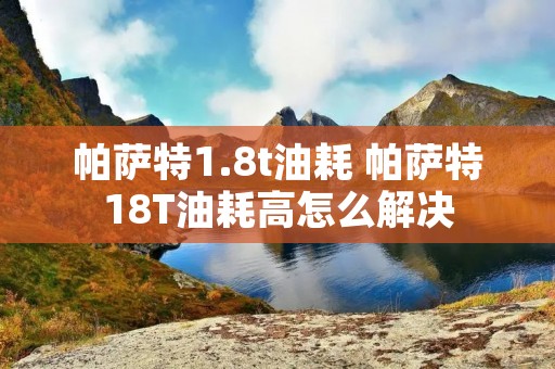 帕萨特1.8t油耗 帕萨特18T油耗高怎么解决 帕萨特1.8t油耗 帕萨特18T油耗高怎么解决
