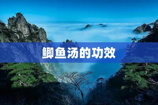 鲫鱼汤的功效:营养丰富,滋补养生 鲫鱼汤的功效:营养丰富,滋补养生