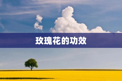 玫瑰花的功效 玫瑰花的功效