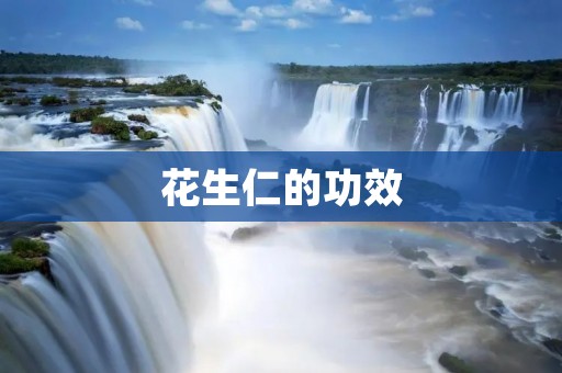 花生仁的功效：从多个角度解析花生仁的营养价值
