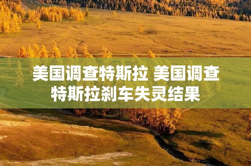 美国调查特斯拉 美国调查特斯拉刹车失灵结果