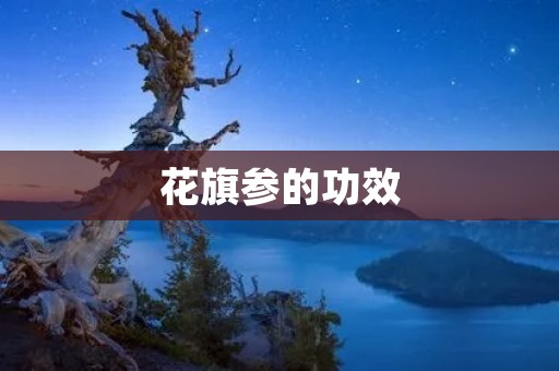 花旗参的功效：强身健体，滋补养生