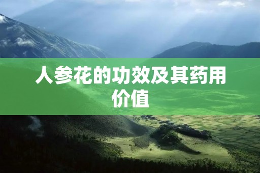 人参花的功效及其药用价值