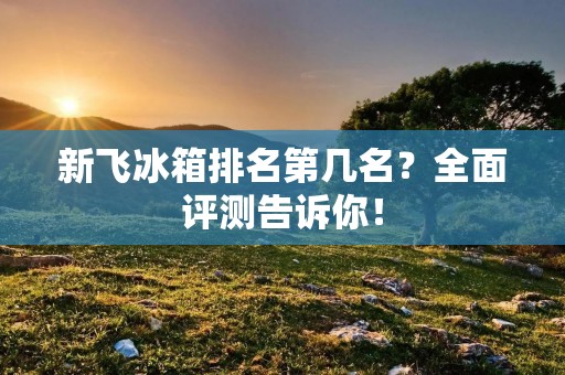 新飞冰箱排名第几名?全面评测告诉你! 新飞冰箱排名第几名?全面评测告诉你!
