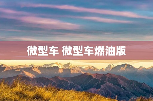 微型车 微型车燃油版