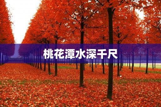 桃花潭水深千尺：一场探秘之旅