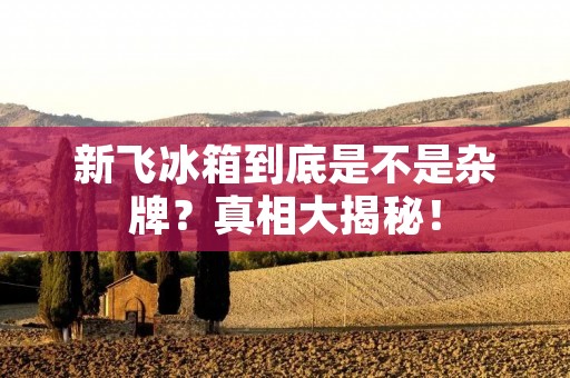 新飞冰箱到底是不是杂牌?真相大揭秘! 新飞冰箱到底是不是杂牌?真相大揭秘!