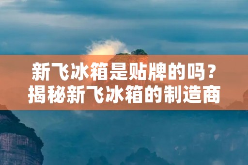 新飞冰箱是贴牌的吗?揭秘新飞冰箱的制造商 新飞冰箱是贴牌的吗?揭秘新飞冰箱的制造商