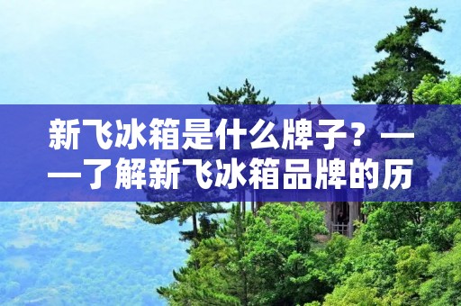新飞冰箱是什么牌子?——了解新飞冰箱品牌的历史与特点 新飞冰箱是什么牌子?——了解新飞冰箱品牌的历史与特点