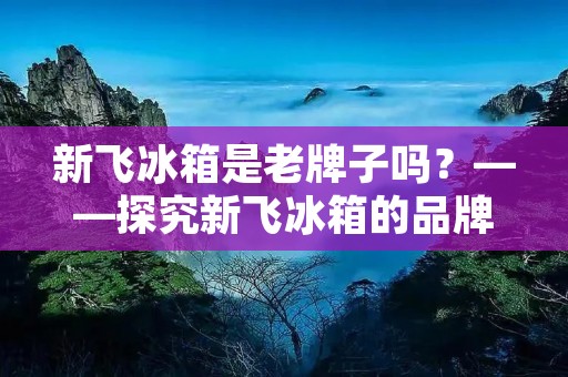 新飞冰箱是老牌子吗?——探究新飞冰箱的品牌历史和产品特点 新飞冰箱是老牌子吗?——探究新飞冰箱的品牌历史和产品特点